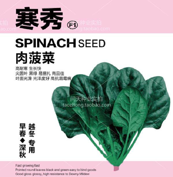 Cold show meat spinach seeds early spring late autumn winter high cold resistance meat thick black green lichen resistant ornamental fruit and vegetable seeds