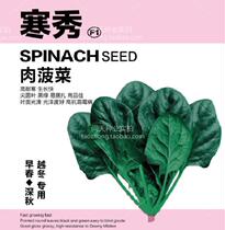 Hanxiu meat spinach seeds early spring late autumn overwintering high cold-resistant meat thick black green resistant bolting ornamental fruit and vegetable seeds