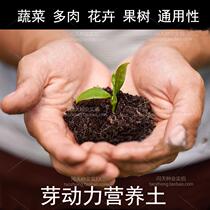 Good configuration of peat soil nutrient soil planting flower soil planting vegetable soil fleshy planting soil nursery soil good for breeding