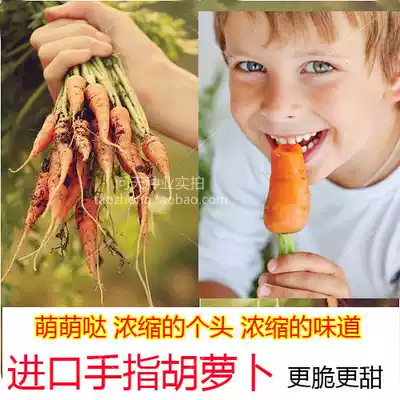 (Finger mini carrot seeds) organic raw food crispy children love vegetable seeds