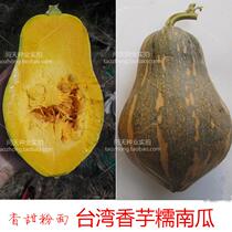 Taiwanese Taro glutinous pumpkin seeds are better than secret pumpkins. Taro secret pumpkin seeds Vegetable seeds Vegetable seeds