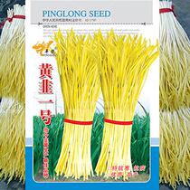 High quality Leek seed yellow leek No.1 seed rich Leek seed yellow Leek seed cold resistance disease resistance to lodging