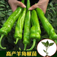 蚯 卟 卟 卟 鹇菟 焓 焓 咚 咚 咚 咚 孑 孑 锼 锼 锼 锼