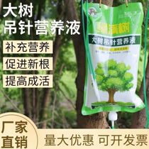 Tree nutrient solution hanging needle liquid landscaping transplanting trees universal transplanting infusion bag