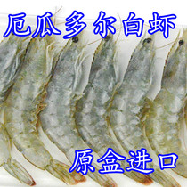 2021 Ecuadorian white shrimp 500 grams price original box imported one catty 15-20 fresh salt frozen South American shrimp
