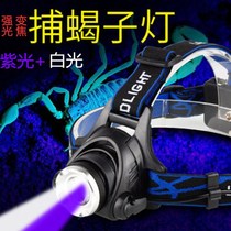 Scorpion lamp catching scorpion outdoor White purple light catching head-mounted strong light 18650 lithium battery headlight