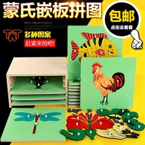 Early education toys Montessori animal and plant panels large wooden pegs scratching boards puzzles educational Montessori sensory teaching aids