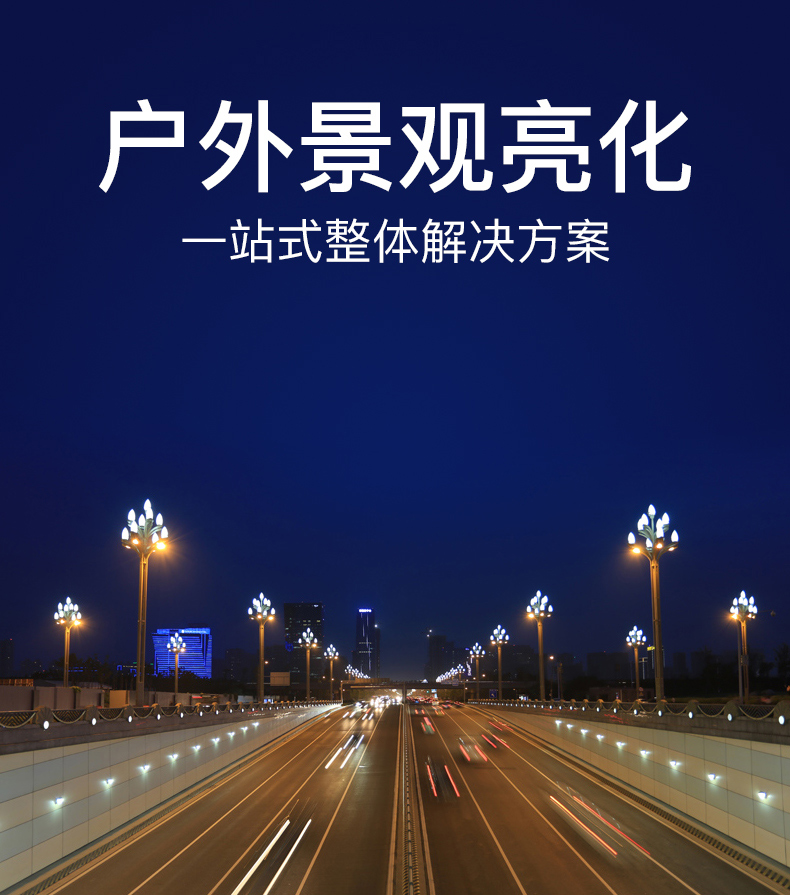 Outdoor Chinese lamp Magnolia lamp street lamp engineering lighting villa atmospheric city road highway custom Chinese style