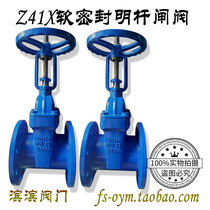 Z41X-16Q flange soft sealing gate valve ductile iron elastic seat sealing bar gate valve pipe switch valve