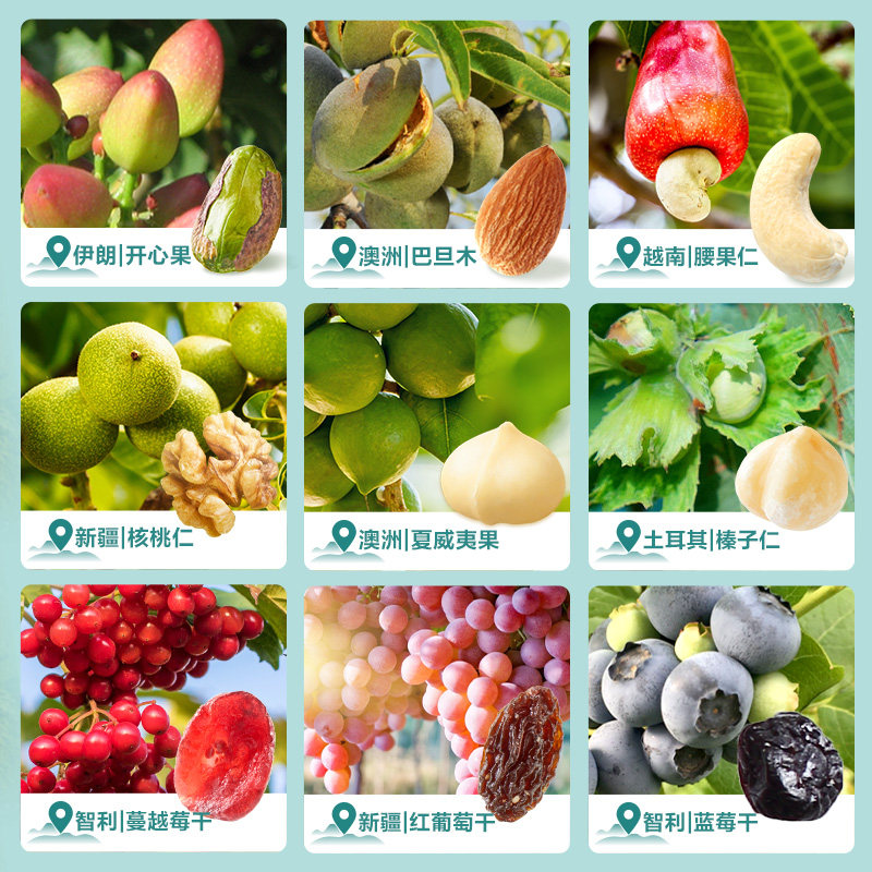 Bestore Daily Nuts Gift Box 750g 30 Small Packages Healthy Mixed Dried Fruits Snacks for Gifting