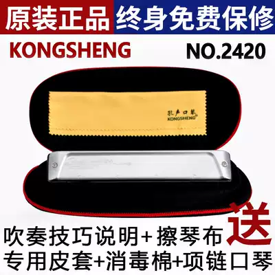 New Kong vocal instrument 24-hole polyphonic harmonica 2420 professional performance men and women beginners, children and the elderly gifts