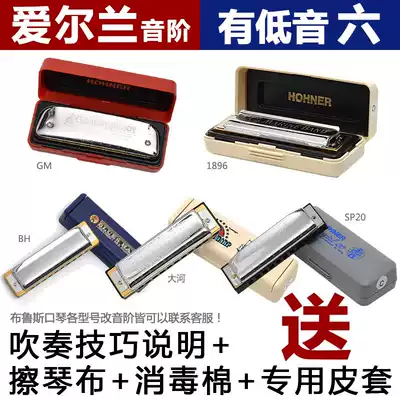 German HOHNER and Paddy Irish Scale Ten 10-hole Blues Blues harmonica sp20 with bass 6