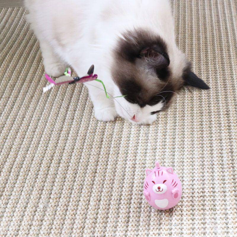 Japan Dogge Twist Kitten Cat Toy Clockwork With Cat Toy Tumbler Toy Tumbler Butterfly Toy Puzzle-Taobao