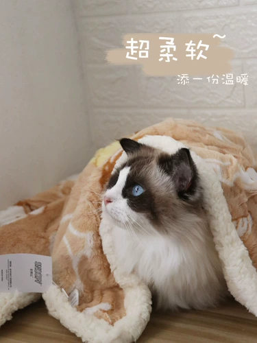 Осень и зимняя ягненка кашемир маленький одеял мягкий и теплый одеял для собак спящий подушка.