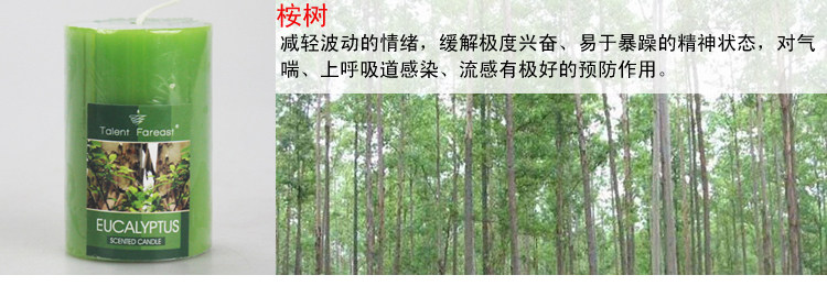 Bougie      - Ref 2487793 Image 15