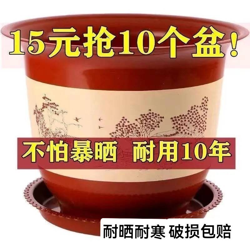 橙橙科技精选店的LOGO