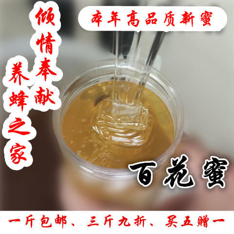 Zhong's bee garden set Anhoney ripe original honey natural high quality high concentration 100 floral honey 1 catty
