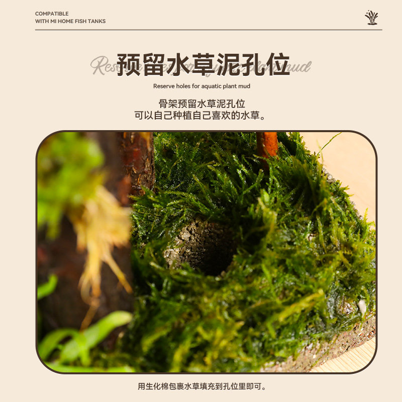 古比鱼专属森林造景套餐:让你的小米鱼缸变身热带雨林秘境!-水族服务-淘宝好物网