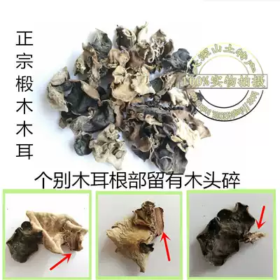 Xinfeng alpine planting gray-backed basswood fungus crisp log cultivation