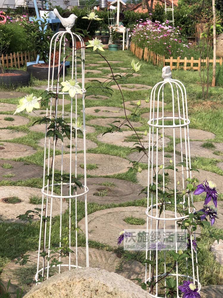 New Pint Plus Coarse Iron Art Bird Cage Rack Climbing Vine Flower Racks Small Bird Flower Racks Iron Wire Lotus Racks Climbing Yard Garden
