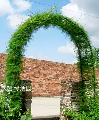 Climbing vegetable arch climbing vine flower Rack rose rose cucumber rack grape vines for family garden