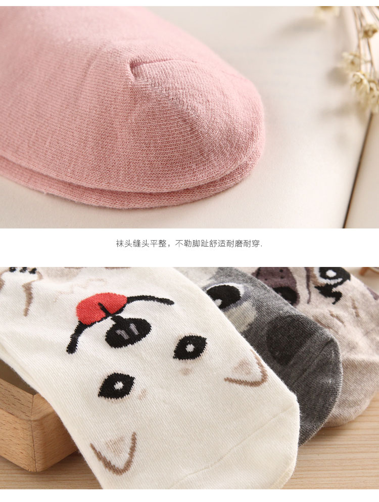 Chaussettes - collants dbwz001 - Ref 754598 Image 30