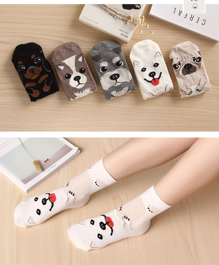 Chaussettes - collants dbwz001 - Ref 754598 Image 28