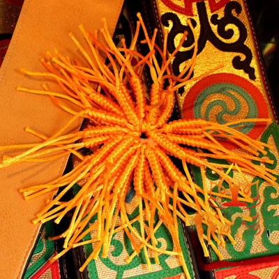 New Tibetan style Buddhist supplies Pocket auspicious Vajra knot mobile phone chain wrapped chain hanging ornament Yellow model