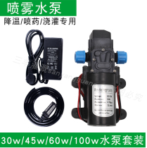 Diaphragm pumping pump Gardening dosing miniature pressurized self-priming pump Watering sprinkler spray 12v30w100W suction pump