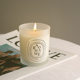 Ins Scented Candle Home Indoor Long-Lasting Essential Oil Scented Candle Ornaments High-End Niche Birthday Gifts