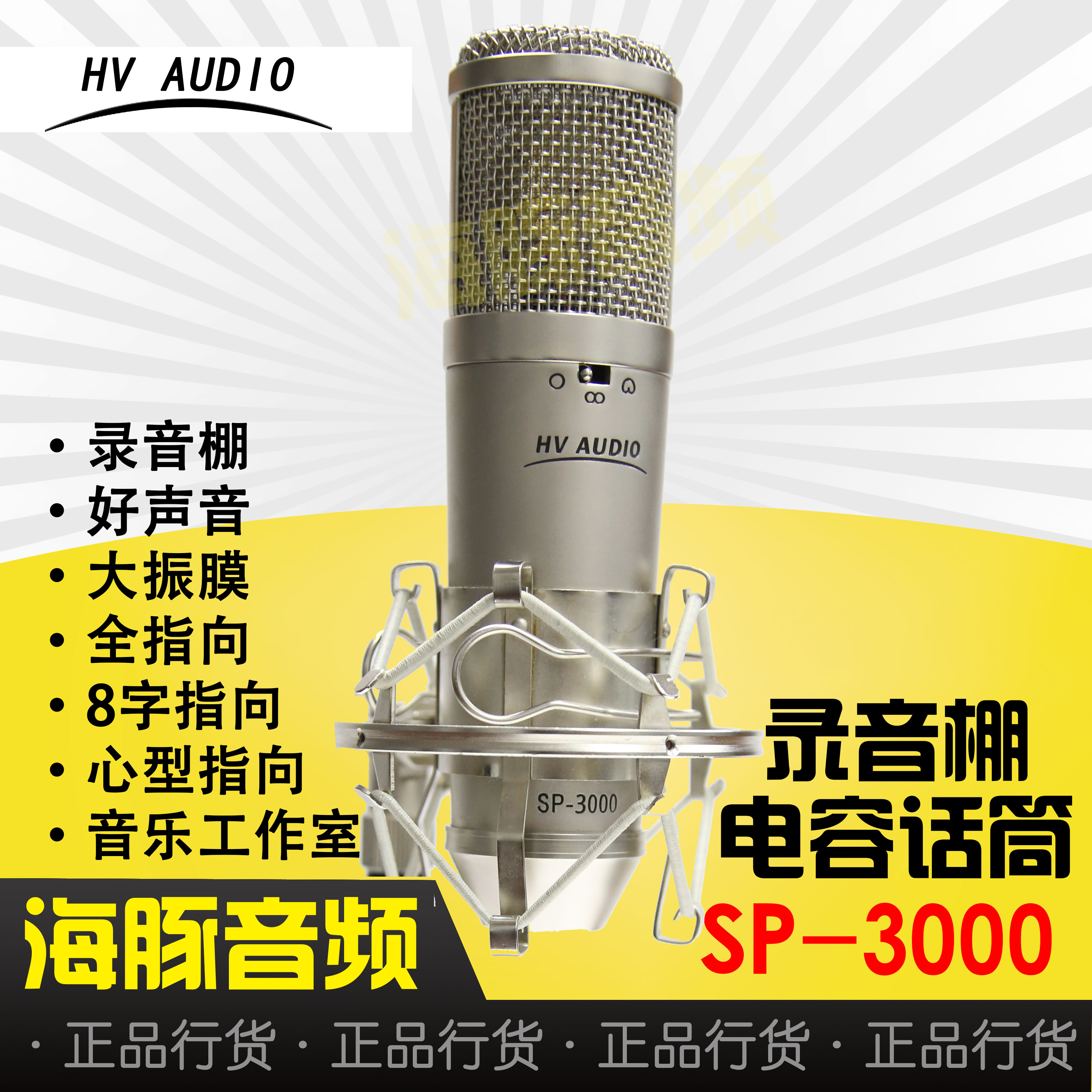 HV AUDIO SP-3000 SP 3000 large diaphragm recording microphone SP2000 upgraded version brand new