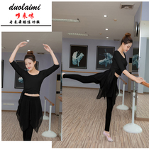 Dance practice clothes adult female new art school students body dance Latin dance performance clothes net gauze skirt pants suit