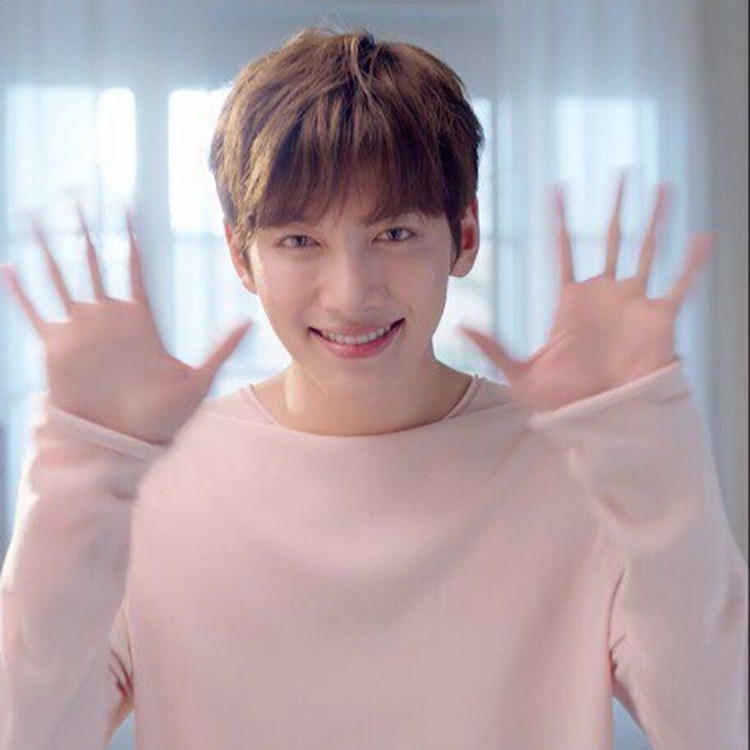 Perruque Harsh pelucheux confirme - Ref 2608205 Image 8