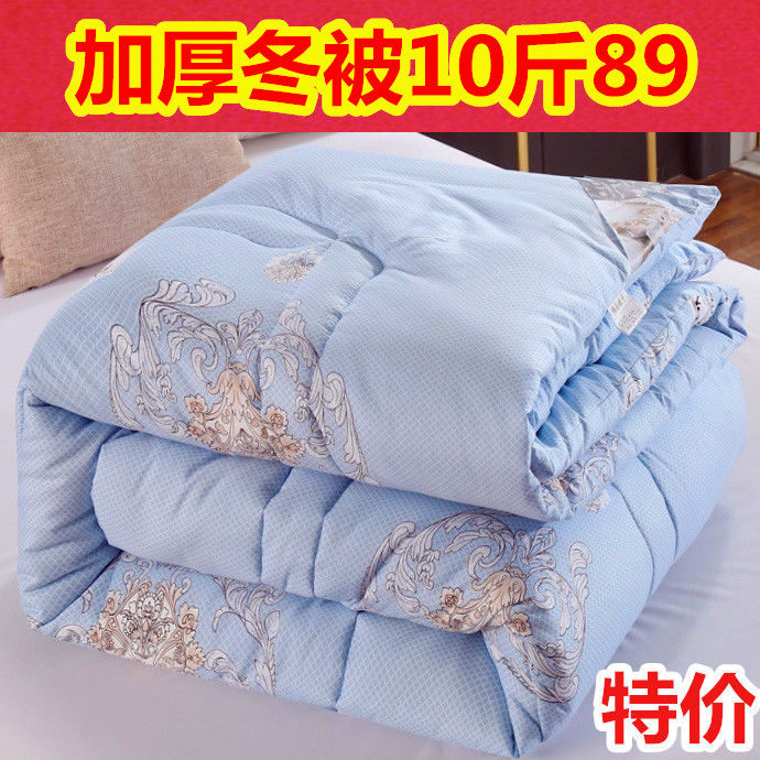8 pounds 10 pounds feather velvet quilt winter quilt thickened warm quilt core double winter net red quilt students spring and autumn quilt