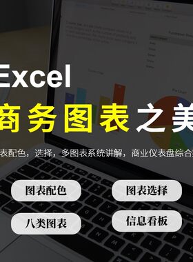 Excel商务图表之美商业数据可视化实战视频教程