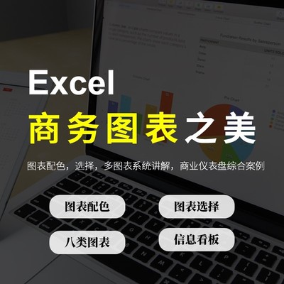 Excel商务图表之美商业数据可视化实战视频教程