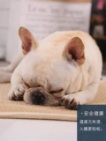 [3d宠物垫狗垫狗狗凉席隔尿席子狗窝垫子厚耐咬网格睡觉垫狗笼垫夏]