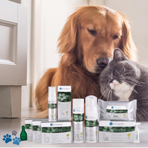 Golden Mao Seven Baojia French dermocent PYO Piotto Dog with abscess Dermatosis Dermatosis Soothing Drip