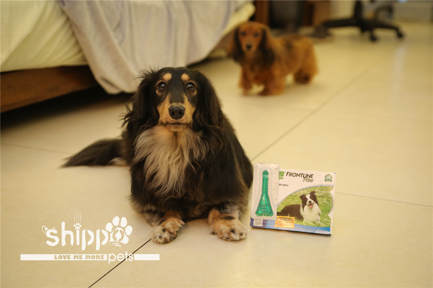 Dog deworming Fulaien enhanced version of medium-sized dog drops (10-20kg for dogs) whole box to remove fleas and ticks