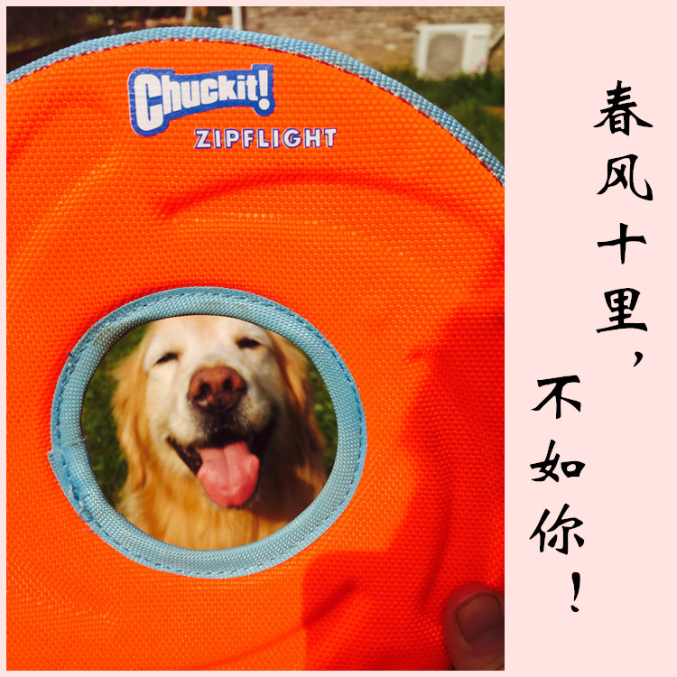 Golden Mao Seven Treasure USA Chuckit Interactive Tour Imported Dog Toy Canvas Gold Wool Side Pasta Floating Water-Taobao