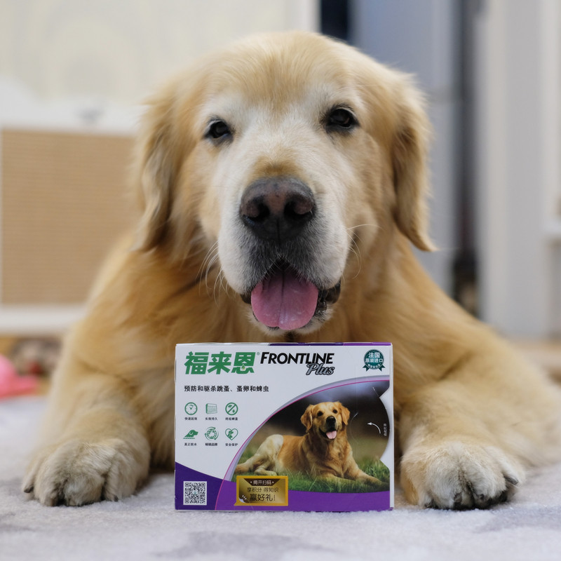 Dog deworming Fleaen large dog enhanced version drops (20-40kg for dogs) whole box of three fleas and bovine ticks