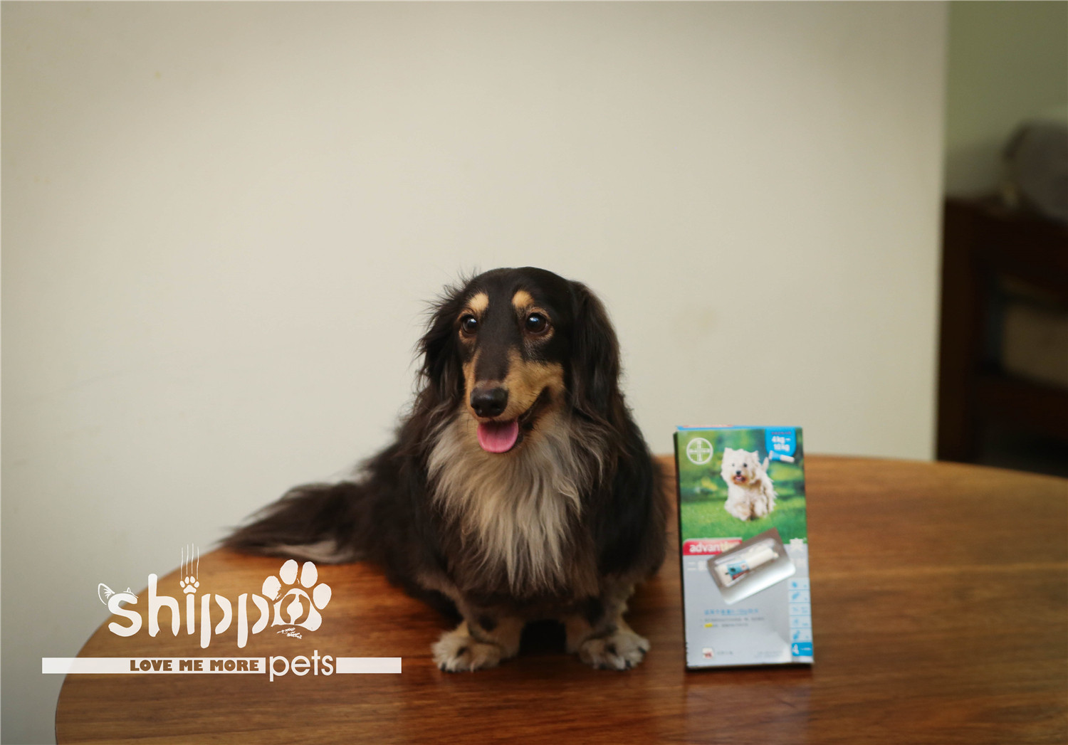 Golden Retriever Qibao's German pet-friendly dog ​​with in vitro deworming drops 4-10kg whole box