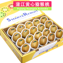Shunfeng 5 catty boxes loaded with Sichuan Pu Jiang yellow heart chic exotic fruit gold and golden fruits big kiwi fruit fresh fruit