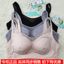 Si Nilan 39109 Silk Conservation Underwear Summer Glossy No Trace Breathable Thin Sports Gathered No Steel Ring Bra
