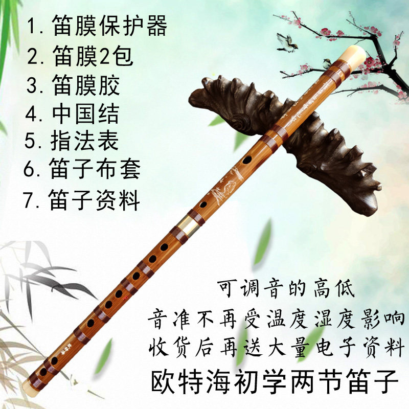 Otter Sea flute refined beginner bitter bamboo EF small a down B tone two sections Professional playing adult horizontal flute instrument