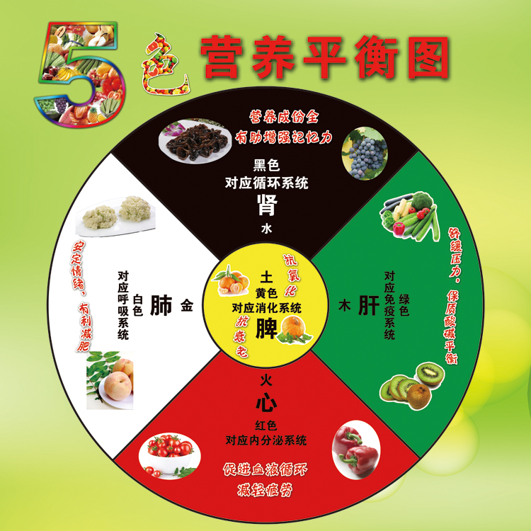 Five-color food nutrition balance longevity recipe health care Chinese medicine five elements wall chart food health poster