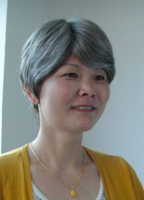 Perruque cheveux raides Court - Ref 2607913 Image 46