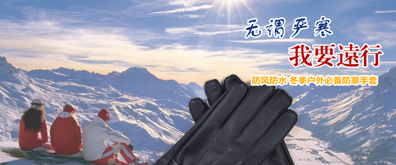 Gants pour homme - Ref 2782473 Image 6