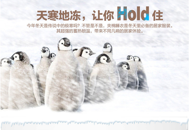 Peignoir Moyen-âge - Ref 589811 Image 7