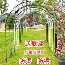 Iron Art Arch Flower Shelf Climbing rattan Garden Balcony Plant Stents Iron Thread Lotus Outdoor Patio Moon Season grapes Rosaceae